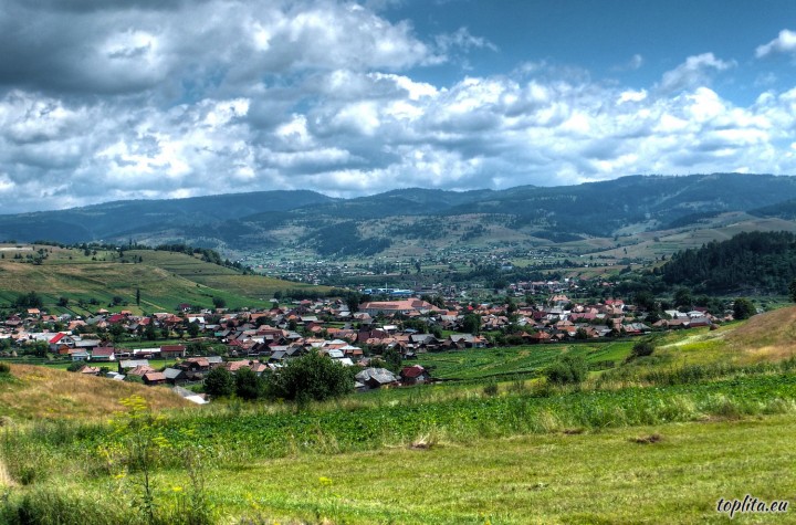 Subcetate, general view