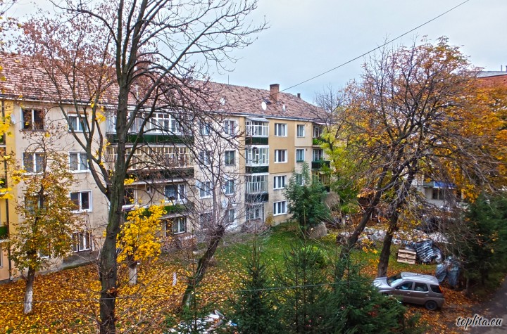 Cerbului Neighborhood