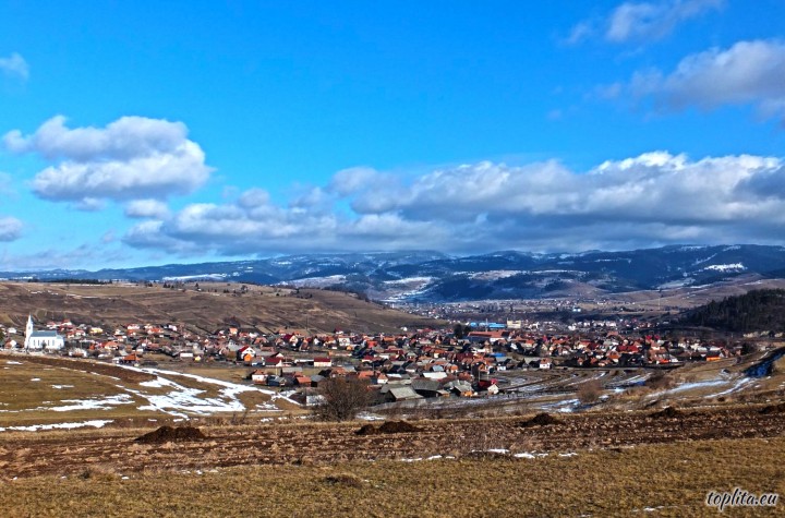 Subcetate, general view